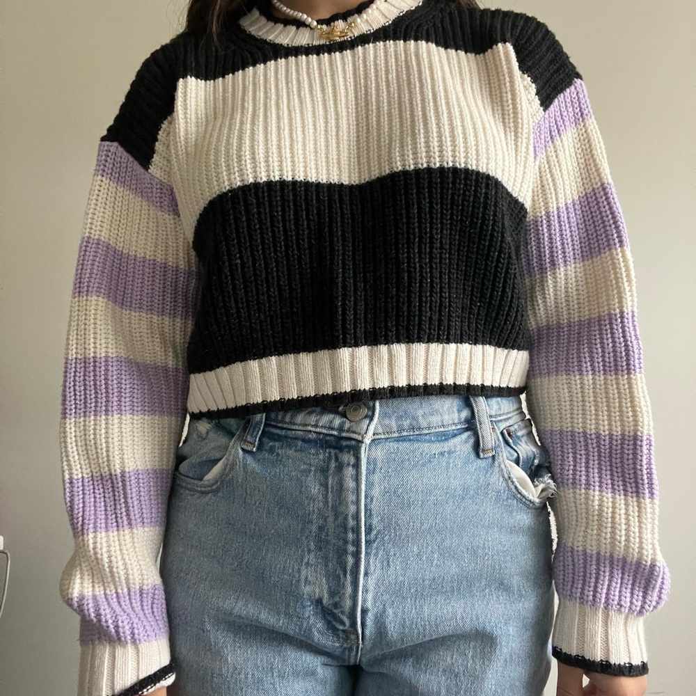 American Eagle Stripped Crop Sweater